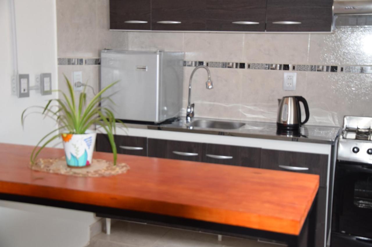 Tem Kotenkesh Depto Telenken X 2 Pax Эль-Калафате Экстерьер фото